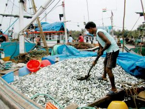 GOENKARPONN: In Goa we expect rivers to be full of fish, not casonos. Vessels for gambling are not part of Goan culture.