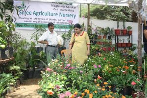 COOL OFF: In the summer heat nothing more cooling than to rest yje eyes on nursery plants for sale...... curry leaf, lemon, lemon grass going at Rs 80 a peice.