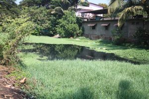 CONTAMINATION BLACK CESSPOOL: A one- time pristine fresh water body draining Panjim’s monsoon rain today mirrors the corrupt mindset of a rotting  political and civic system- no second thoughts about that!