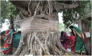 MANGLIK: According to Indian astrology, women born under Mars (mangal dosha) are cursed. The belief is that they are  a threat to the life of their husband. This is why even Aishwarya Rai, who is a manglik, was allegedly forced to marry a tree before she married Abhishek Bachchan.