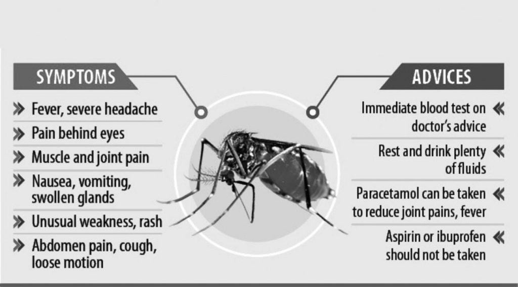 All about Dengue Fever