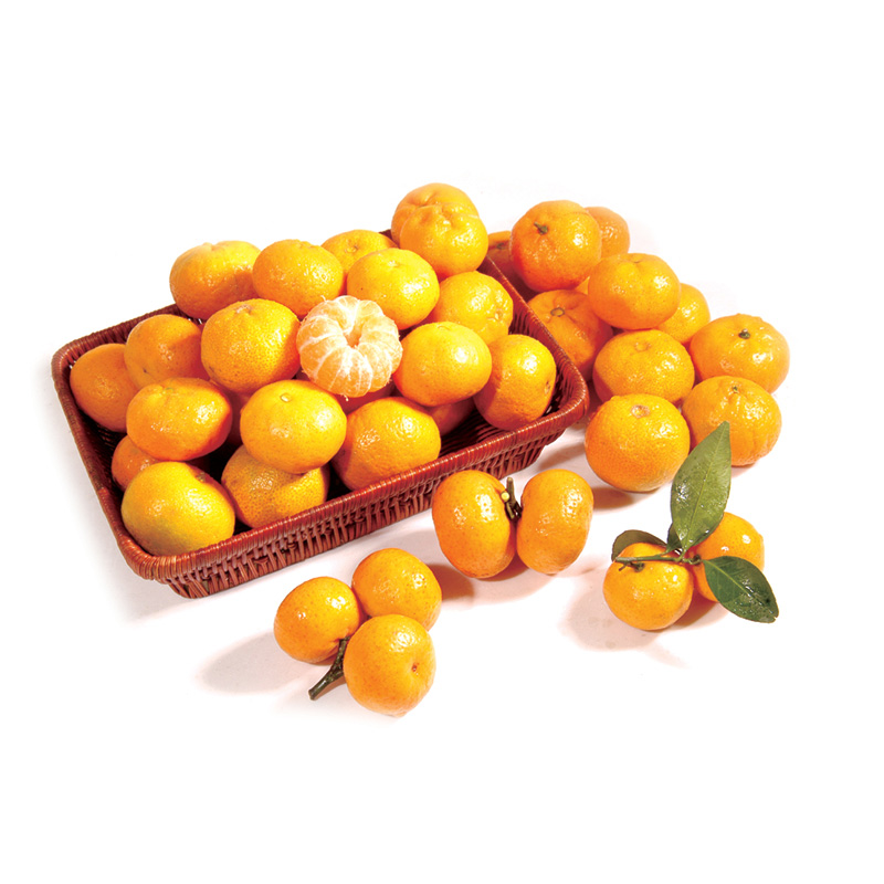 Baby Mandarin oranges at Magsons!