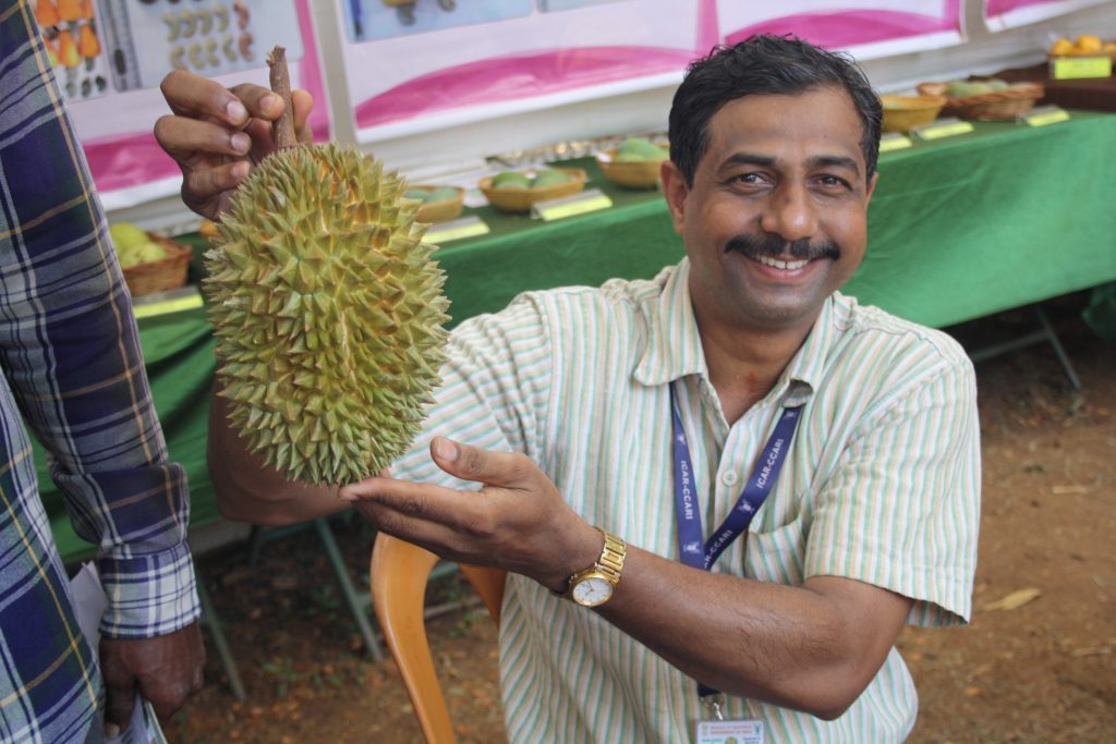 AT THE 14TH KONKAN FRUIT FESTIVAL…  Durian going for `500!