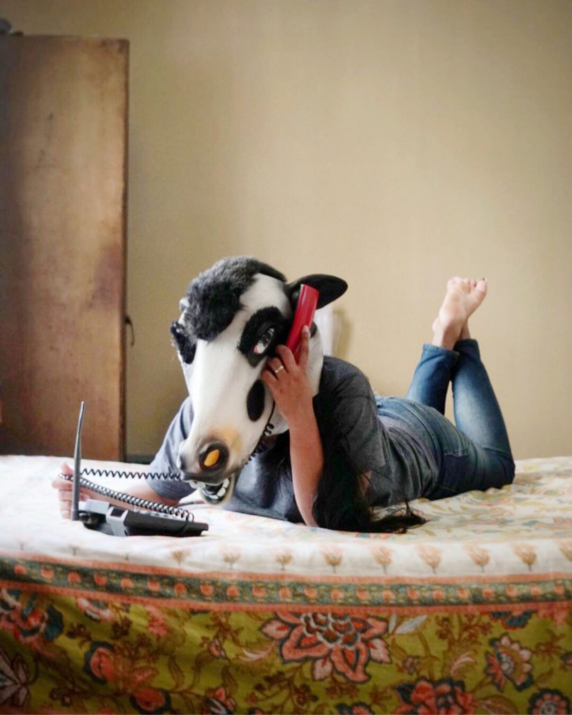 COW MASKS FOR SAFETY