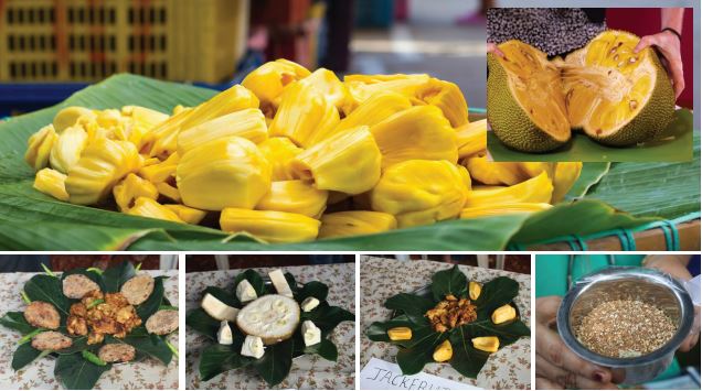 CELEBRATING THE JACKFRUIT