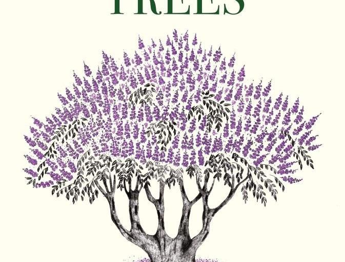 TREES ARE SOCIAL BEINGS!