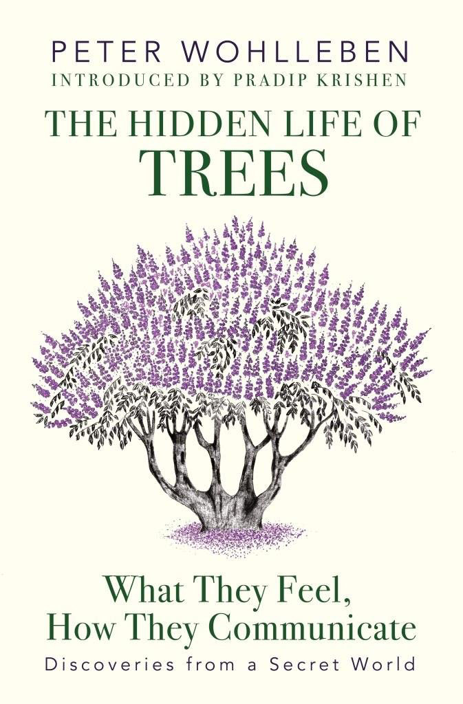 TREES ARE SOCIAL BEINGS!