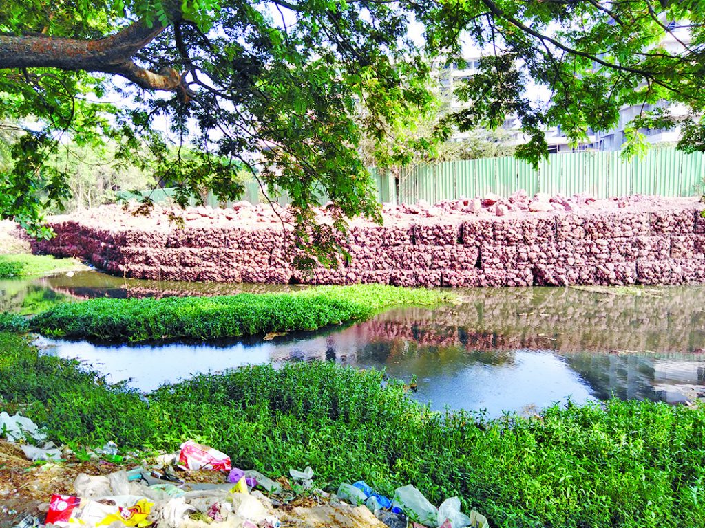IS IT R.I.P. FOR ST INEZ CREEK?