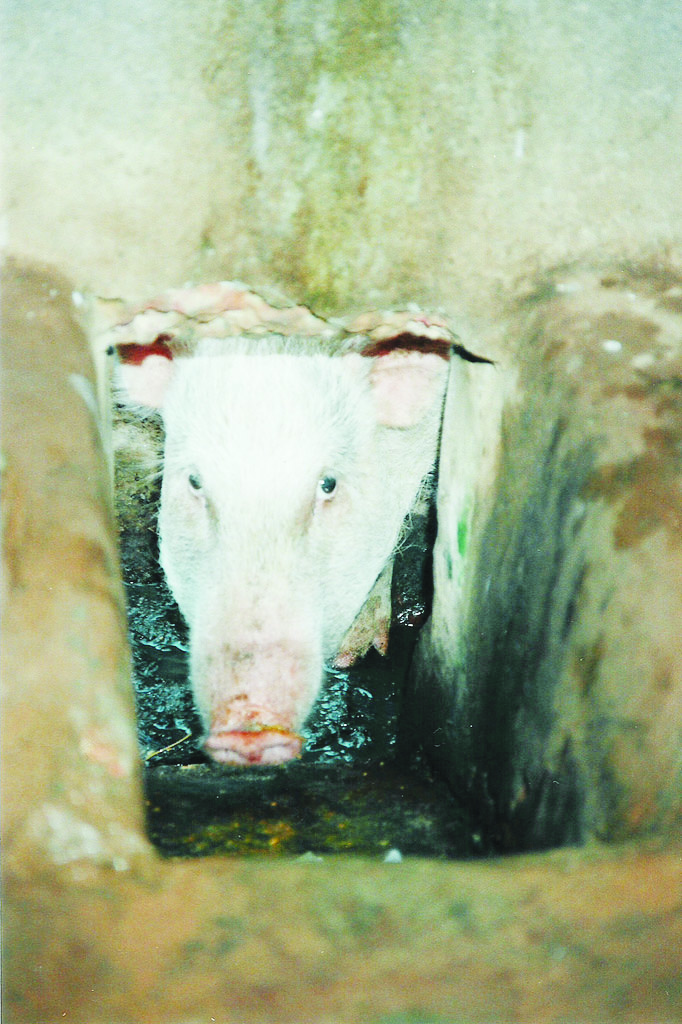 NO SAUCHALAYAS IN SWACHH  GOA