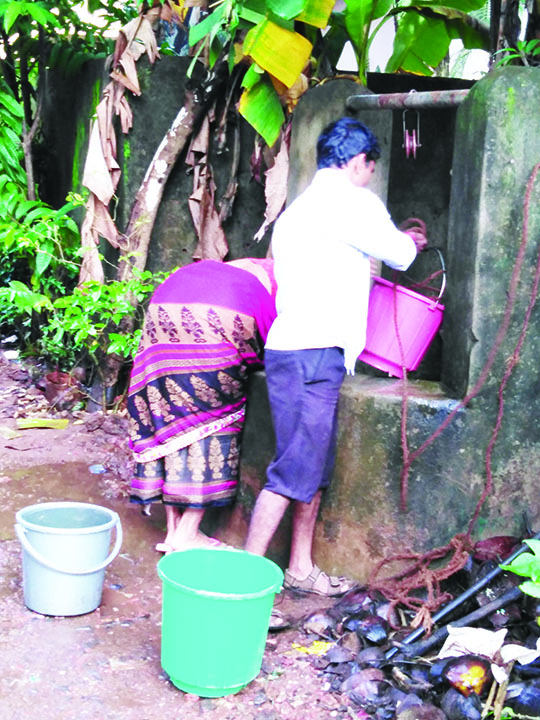DENGUE MOSQUITOES HAUNT  TONCA-DEMPO BHAT