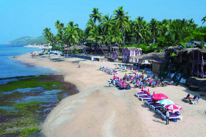 NGT REFUSES TO CLEAR SHACKS ON THE BEACHES!