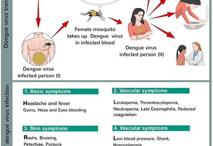 All about Dengue Fever