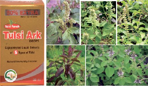 WHAT IS TULSI ARK?