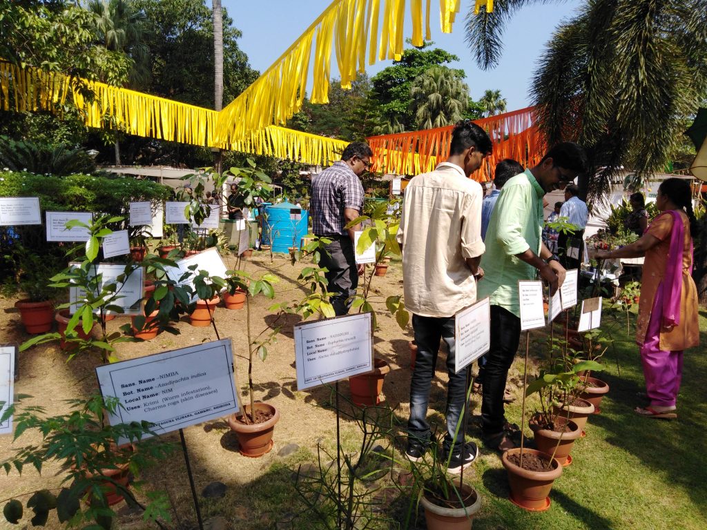 Plant Utsav 2019