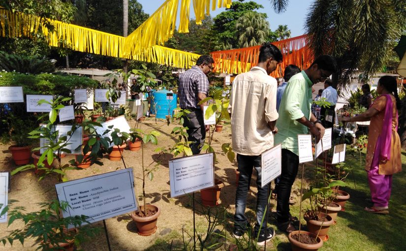 Plant Utsav 2019