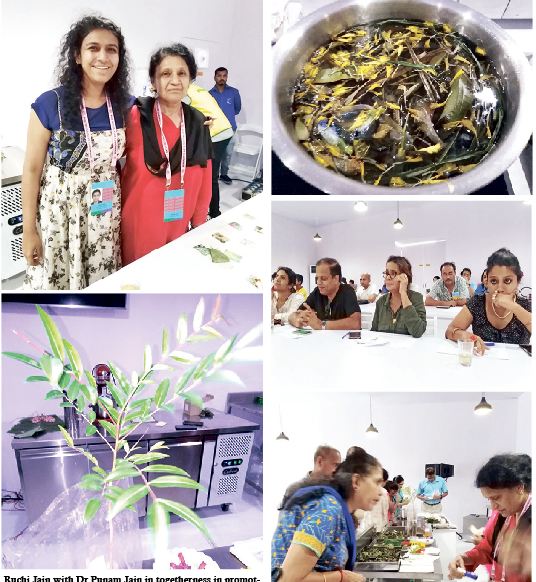 HEALING CULINARY LEGACIES