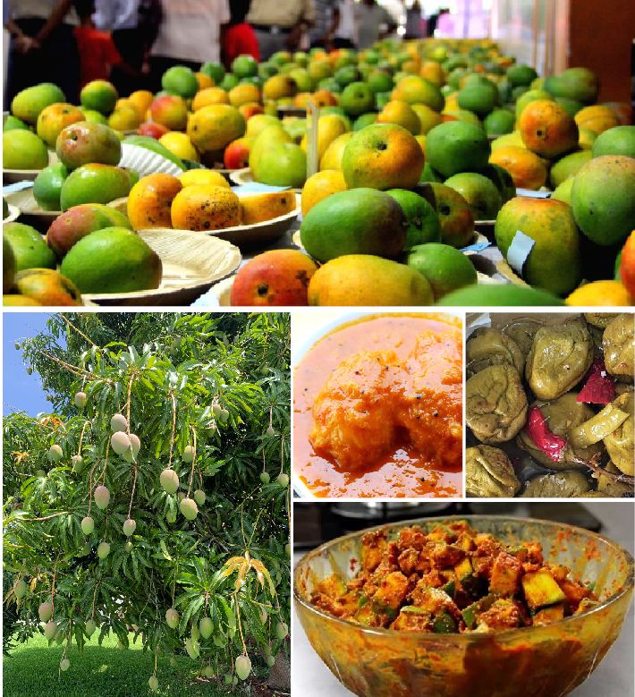 IT’S MANGO SEASON!
