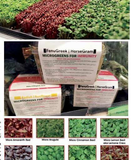 MICROGREENS IS THE NEW LOVE!