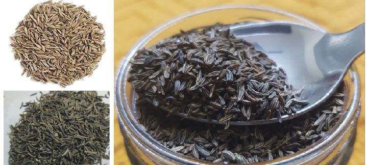 BLACK CUMIN SEEDS FOR COVID-19?