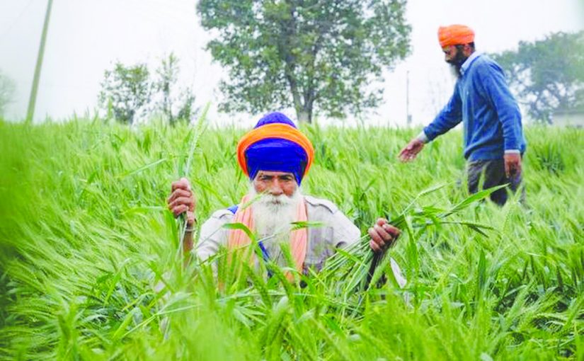 NEW LAWS WILL RUIN FARMERS!