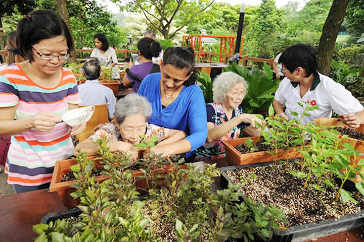 HORTICULTURAL THERAPY AND HEALING!