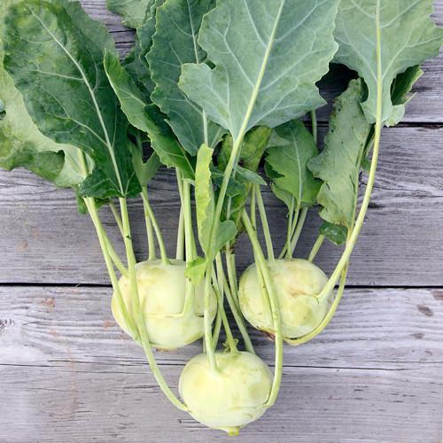 FALLING FOR KOHLRABI!