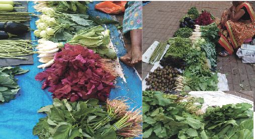 PANAJI MORNING PAVEMENT MARKET JOYS!