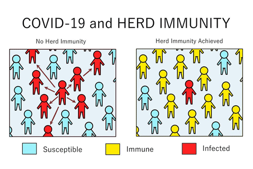 ONLY RAPID MASS VAX CAN CREATE HERD IMMUNITY