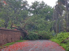 CYCLONE TAUKtAE IN PANAJI!