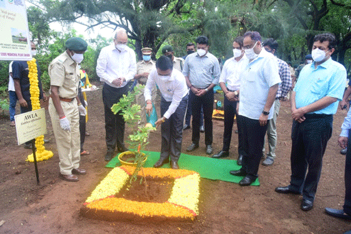 CM WHO LOVES PLANTS!