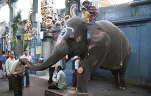 Manakula Vinayagar Temple, Pondicherry
