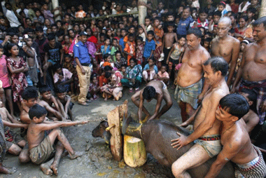 GOAN BENGALIS READY FOR DURGA PUJA!