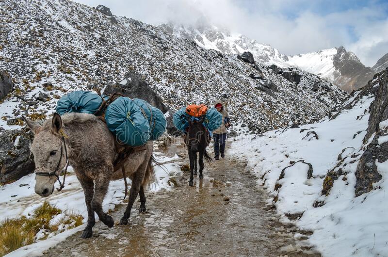 THE BRAVEST INDIAN SOLDIERS!