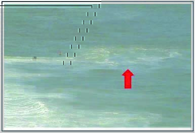 THE BEACHES OF GOA ARE LOVELY... But how safe are they?