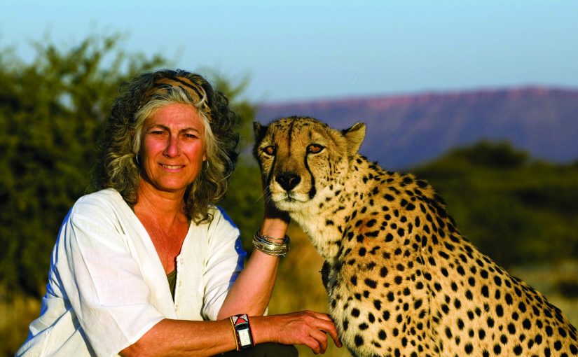 LAURIE MARKER, WOMAN BEHIND CHEETAH TRANSFER!