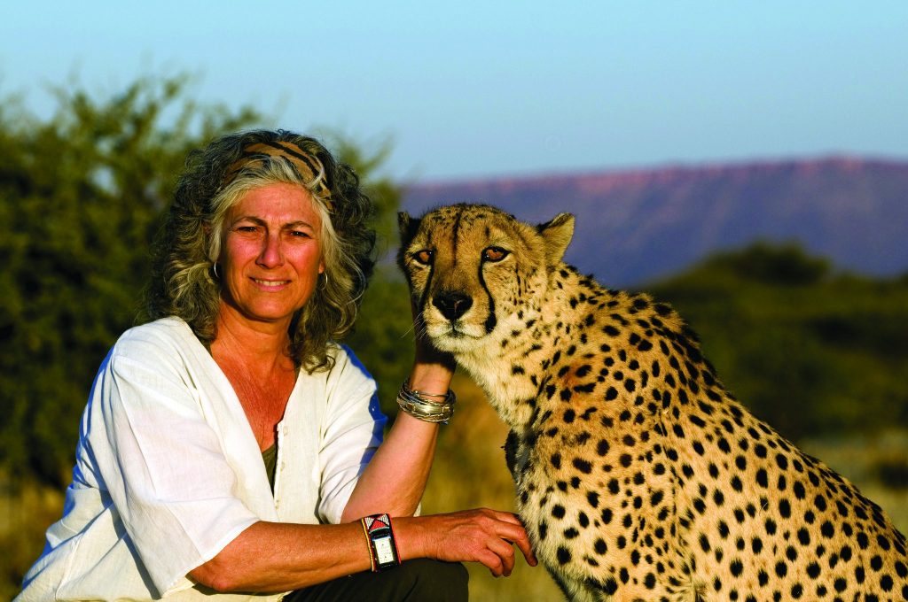 LAURIE MARKER,  WOMAN BEHIND CHEETAH TRANSFER! BY IND