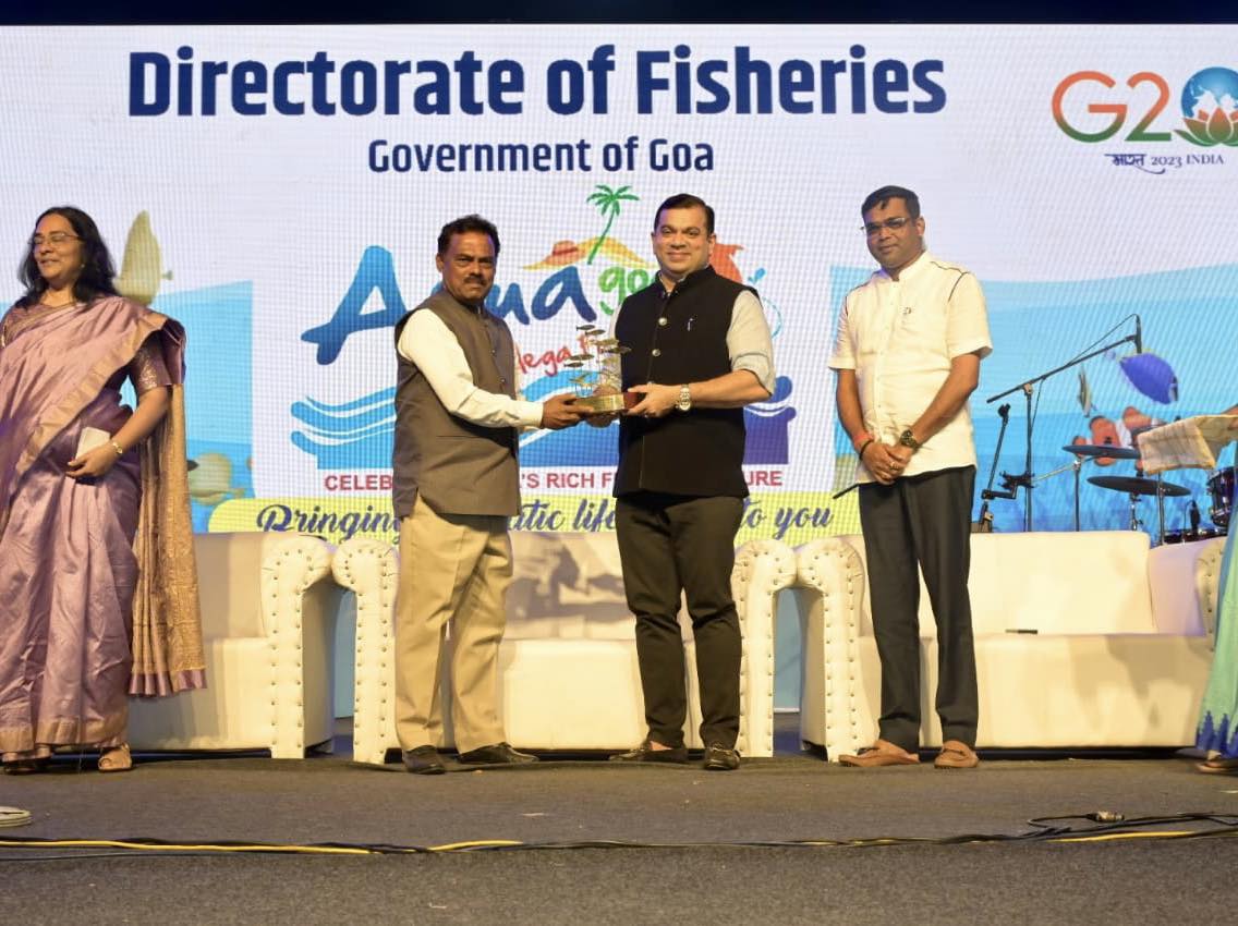 AT THE AQUA GOA MEGA FISH FESTIVAL!