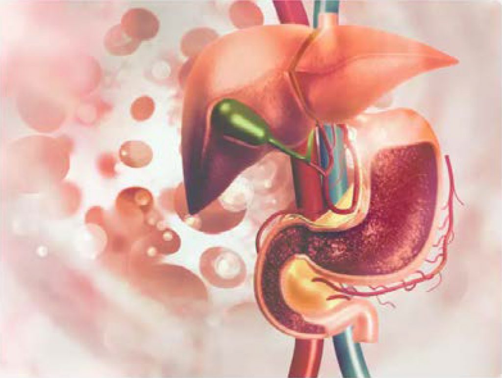 ARE AYURVEDA AND HOMEOPATHY MEDICINES DAMAGING LIVERS?