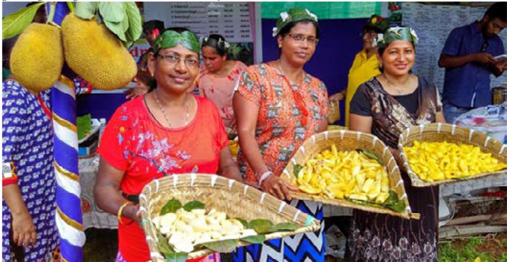 HOW ABOUT A FESTIVAL FOR JACKFRUIT?