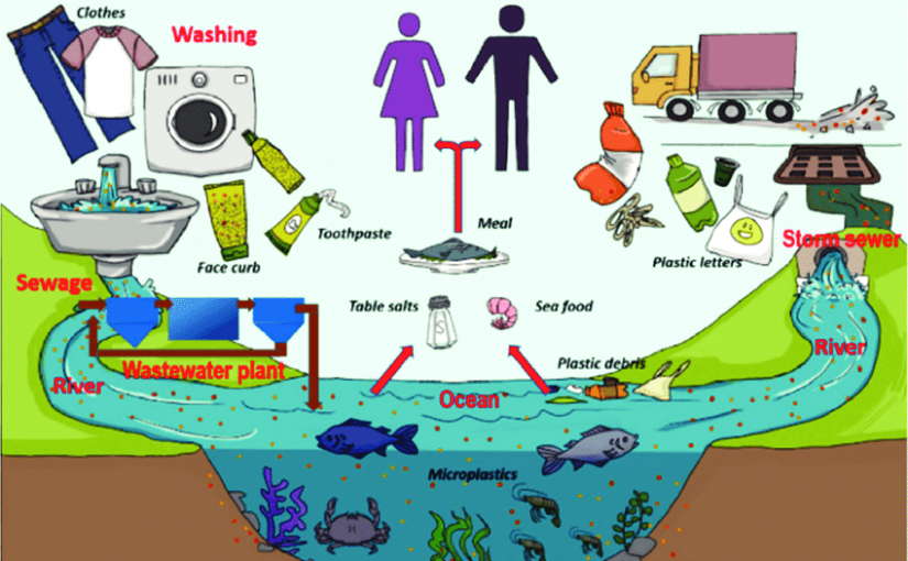 MICROPLASTICS IN OUR FOOD!