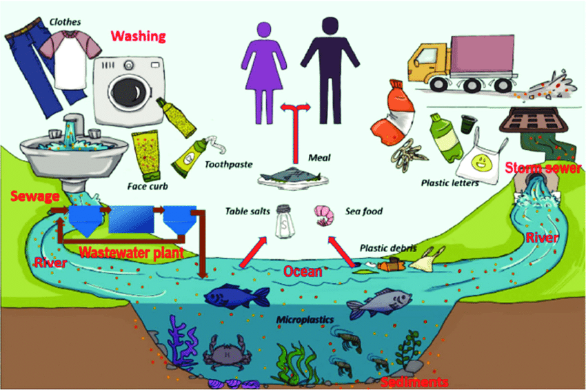 MICROPLASTICS IN OUR FOOD!