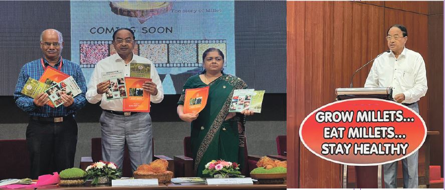AT THE MILLET UTSAV:  From 5-star `bajra kichdo’ to `jowari idli’ to what do you know – cheeseballs, very delicious!
