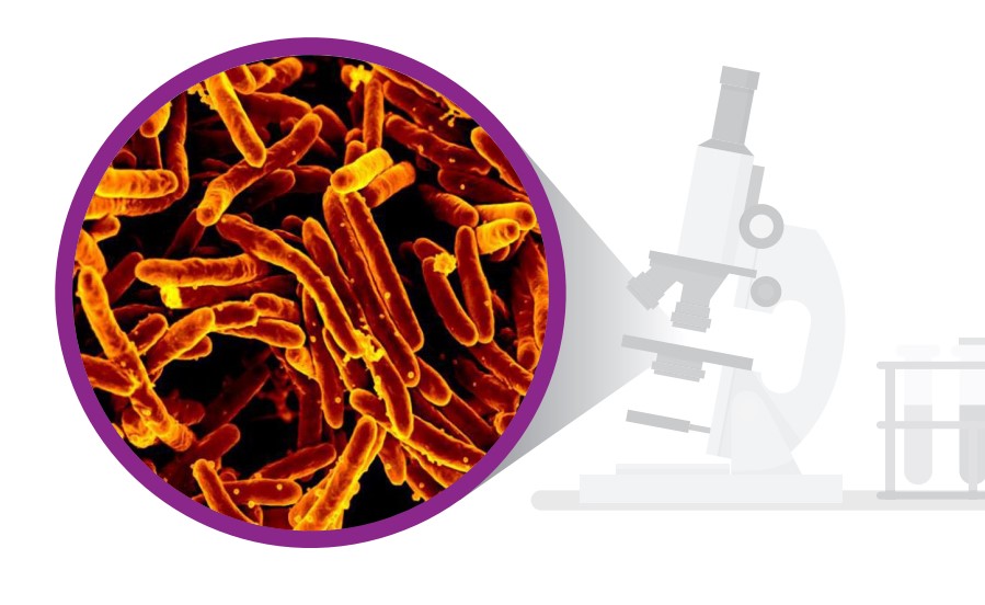 INVEST TO END TB! SAVE LIVES!