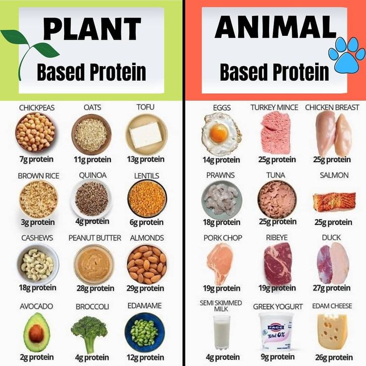 VEGGIES, PUT SOME PROTEIN IN YOUR DIET!