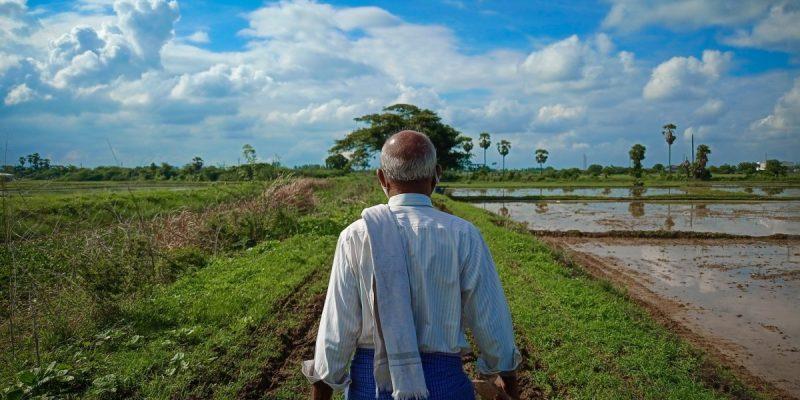 AVERAGE 30 FARMER SUICIDES PER DAY IN MODI GOVT YEARS POINTS TO A SYSTEMIC APATHY