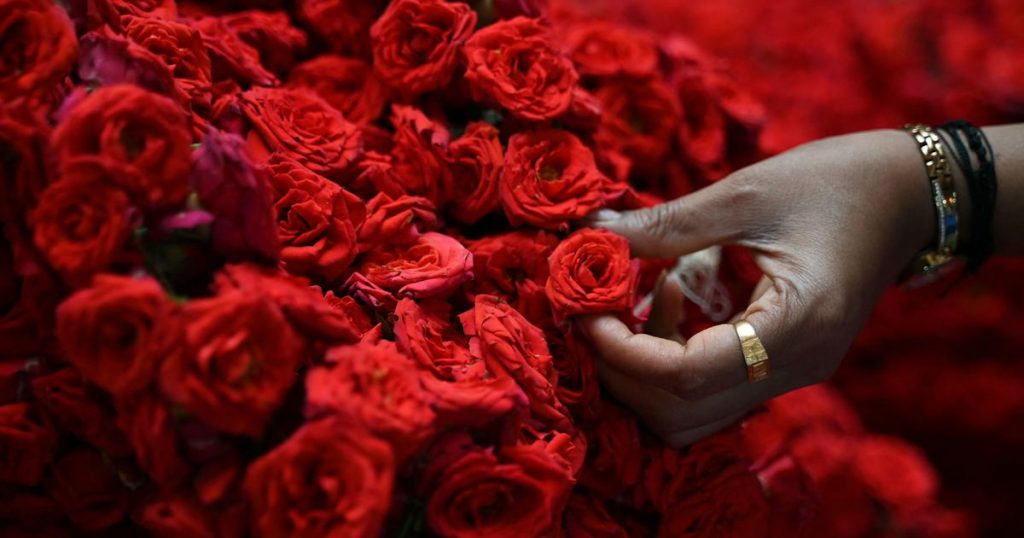 VALENTINE’S DAY:  NO LAW CAN STOP LOVE! By Nandita Haksar