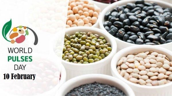 PULSES: NUTRITIONAL POWERHOUSE FOR EVERY MEAL!