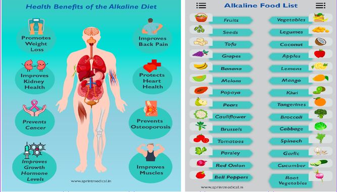 IN SEARCH OF ALKALINE LIFESTYLE!