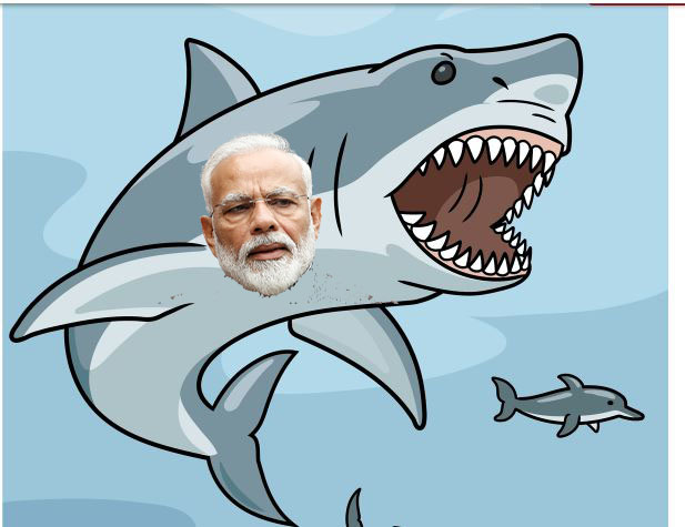 THE BULLS, THE BEARS AND THE SHARK