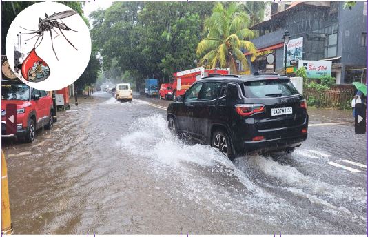 FLOODING SPREADS DENGUE, NOT MIGRANTS!